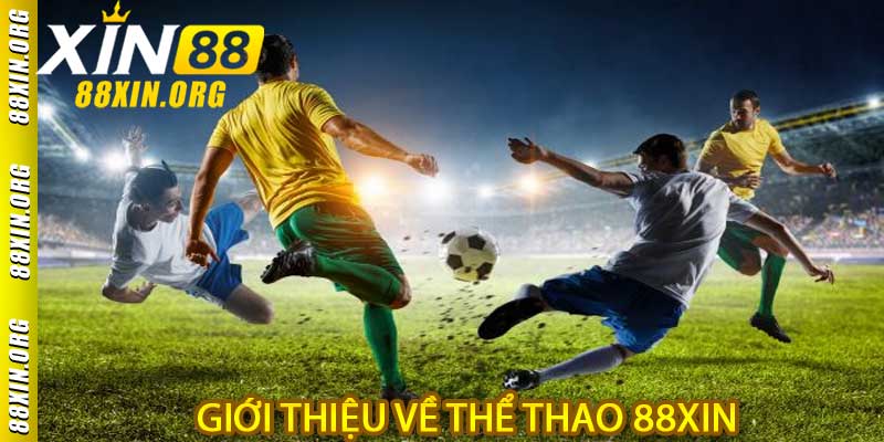 Thể Thao 88XIN - Trải Nghiệm Thú Vị Trong Nghệ Thuật Cá Cược - LUCKY741.CLICK