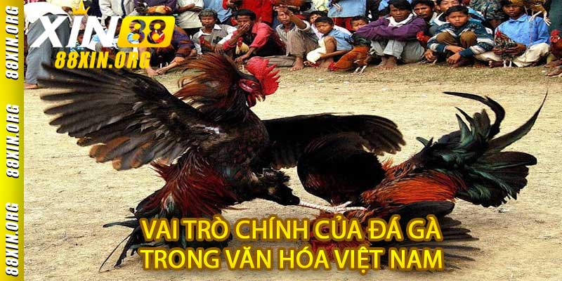 Đá Gà 88XIN - Nơi Hoà Quyện Giữa Truyền Thống và Công Nghệ - LUCKY741.CLICK